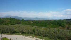 Agriturismo La Scalera