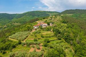 Holiday Home Belveder Motovun with heated pool 