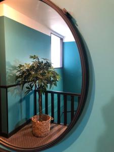 Hotels Hotel Les Embruns : photos des chambres
