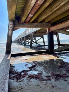 Appartements La garenne, pres des commerces : photos des chambres