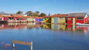 Appartements Studio central a Chateau d'Oleron : photos des chambres