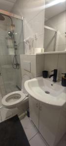 Apartman Mila 23 Vrnjačka Banja