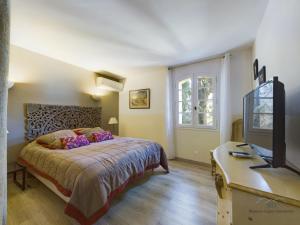 Villas Mas Le Cad Saint-Remy de Provence 8 personnes : photos des chambres