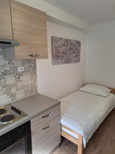 Cvita studio apartment