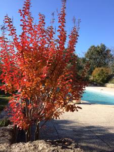 B&B / Chambres d'hotes Le Verger : photos des chambres