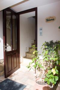 IDEAL House skopelos