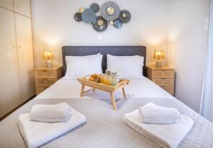 Dina Luxury Sea View House