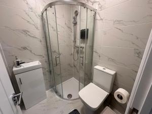 Room in Central London Zone 1