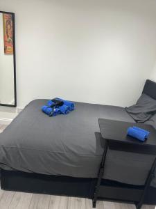 London Victoria Green Park 15min