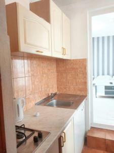 One bedroom apartement with balcony and wifi at Vir