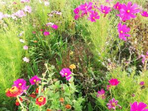 B&B / Chambres d'hotes BASTIDE DES MARTELIERES : photos des chambres