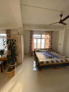 Aizawl Homestay