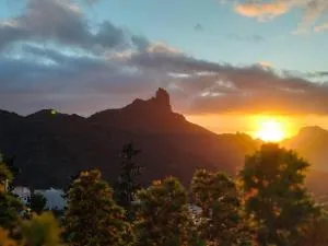 El rincón de Cornelia en Tejeda - El Majuelo