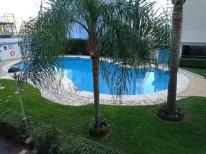 Palmeras III Solo Familias Serviplaya!!! - Xeresa