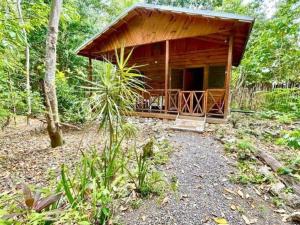 Real Jamaica - Cabin right beside the sea-Papa Curvins Yard