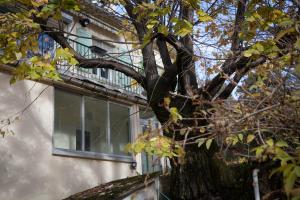 Gîte Le Tilleul - Calme et lumineux - 2 à 4 pers