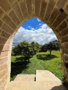 Abbazia San Nicola di Pergoleto 1 gelso