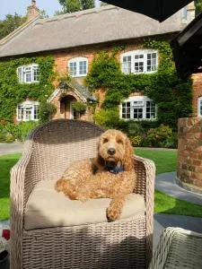 Little Woodside a beautiful New Forest self contained private luxury annexe - 新米尔顿