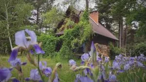 Przytulia - chata na bezdrożach Roztocza - Józefów