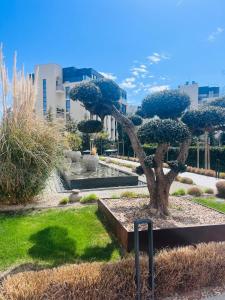 EXCLUSIVE St Constantine Suites