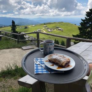 Črnuški dom na Mali planini