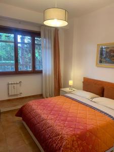 Mostacciano Roma IFO