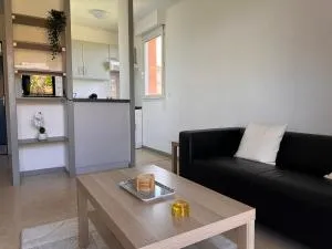 Charming one bedroom apartment, - pres des commerces et tram FIBRE wifi, Airbus MEET super location - 布拉尼亚克