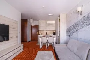 Apartament Viking Continental - 库瑞尼卡慕斯卡