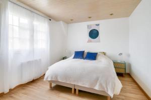 Maisons de vacances Bourgeois house and idyllic garden : photos des chambres