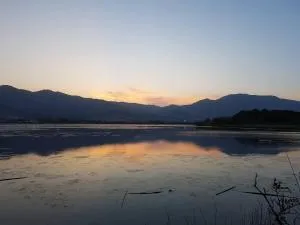 Appartement - 皮内托