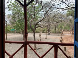 Nieves surf hostel and Camping