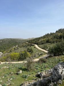 DoMu’ img17