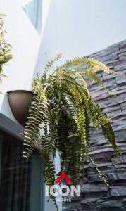 Beautiful Studio in Barranco