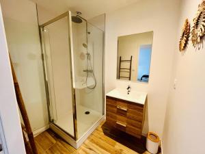 Le Choiseul - T5 entre Loire et Château Royal - Manoir de la Concorde