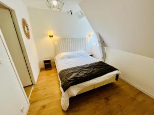 Le Choiseul - T5 entre Loire et Château Royal - Manoir de la Concorde