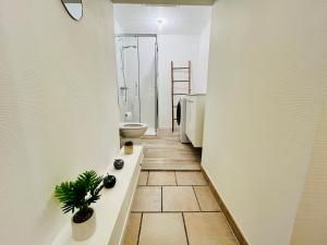 Le Choiseul - T5 entre Loire et Château Royal - Manoir de la Concorde