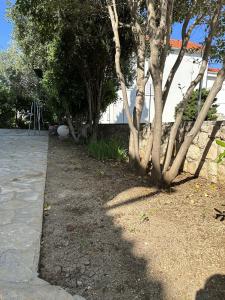 Apartments with a parking space Novalja, Pag - 22963 