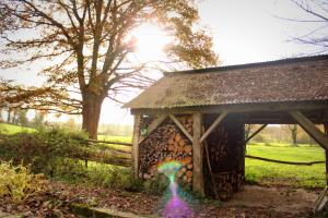 B&B / Chambres d'hotes Moulin Du David : photos des chambres