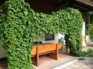 Haus Mayerbüchler - Chiemgau Karte