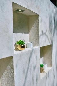 Villas Zamna - Jungle Villas