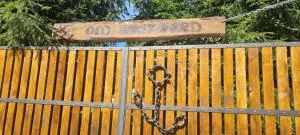 OLD SHEPHERD Guest House - Dîngău Mic