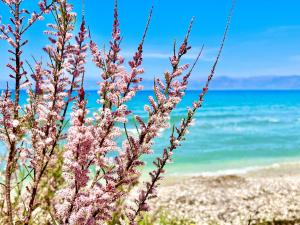 Beachfront Suites GardenMare by DadoVillas