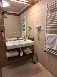 Standard Twin Room room in Duna Garden Hotel