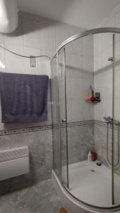 Апартаменты с одной спальней Carolina