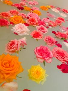 和美再美 石動 柏屋 Wabisabi Isurugi Kashiwaya