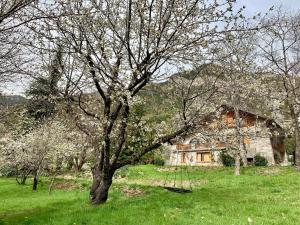 B&B / Chambres d'hotes Chalet Le Tilleul : photos des chambres