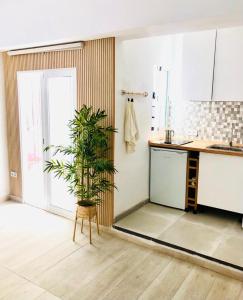 Nomad Apartments Gran Canaria