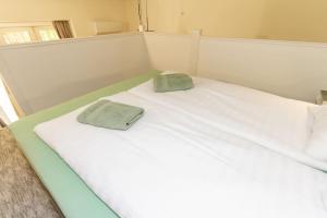 Kazinczy Gem Studio 7th district Haven by NW