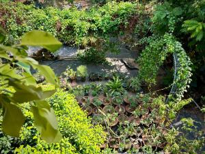 Gloria Homestay ,Thrissur