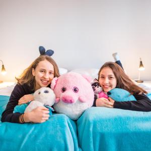 Superior - Suuri yhden makuuhuoneen huoneisto (6 aikuista) room in Apartment Hotel Tampere MN